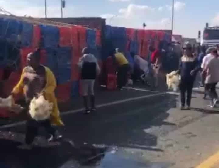 Watch | Scramble for chickens as truck overturns with 9 000 chickens on board 20190607 163220