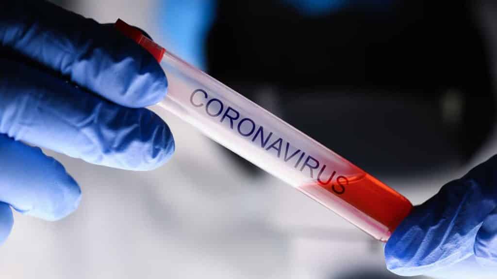 coronavirus confirmed in south africa