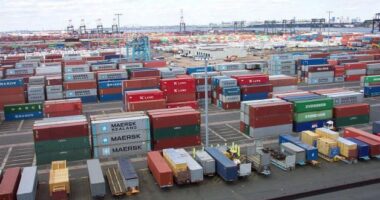 transnet port terminals lockdown