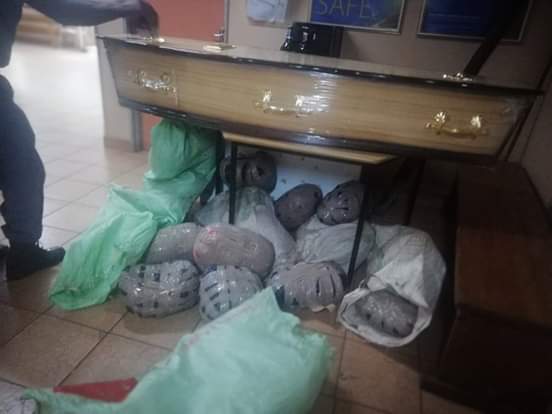 Two KZN men nabbed at roadblock stashing dagga in a coffin IMG 20200425 WA0253