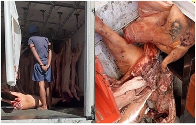 Meat truck hijacked in Cape Town, three suspects nabbed IMG 20200428 184414