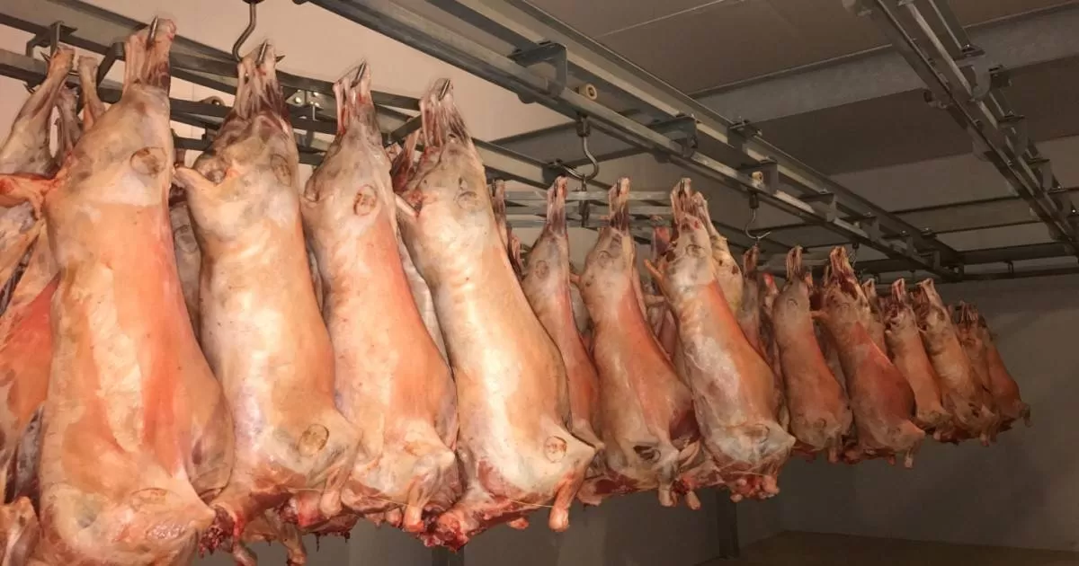 driver robbed of sheep carcasses