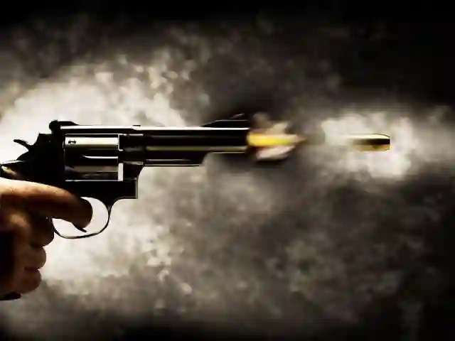 Truck driver overpowers armed robbers and shoots two of them on the N12