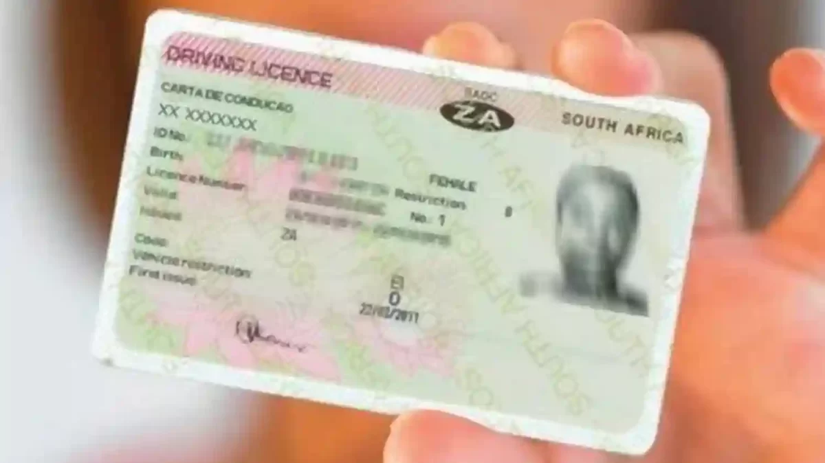 Requirement to renew driving licence after every 5 years is illegal, says Afriforum