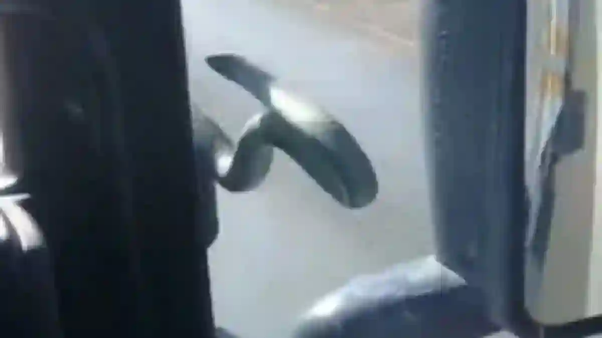 Snake hitches ride on truck much to the discomfort of the driver