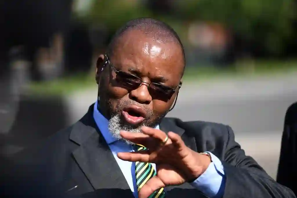 If a person from Zimbabwe commits a crime, he's not a Zimbabwean, he's a criminal, says Mantashe
