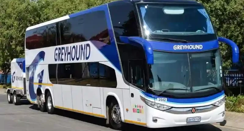Greyhound bus accident