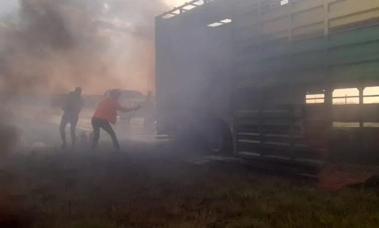 Cattle Truck Carrying Livestock Catches Fire on N1 Highway